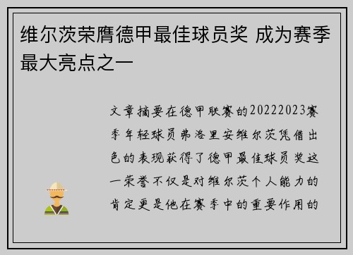 维尔茨荣膺德甲最佳球员奖 成为赛季最大亮点之一