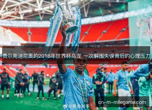 费尔南迪尼奥的2018年世界杯乌龙 一次解围失误背后的心理压力